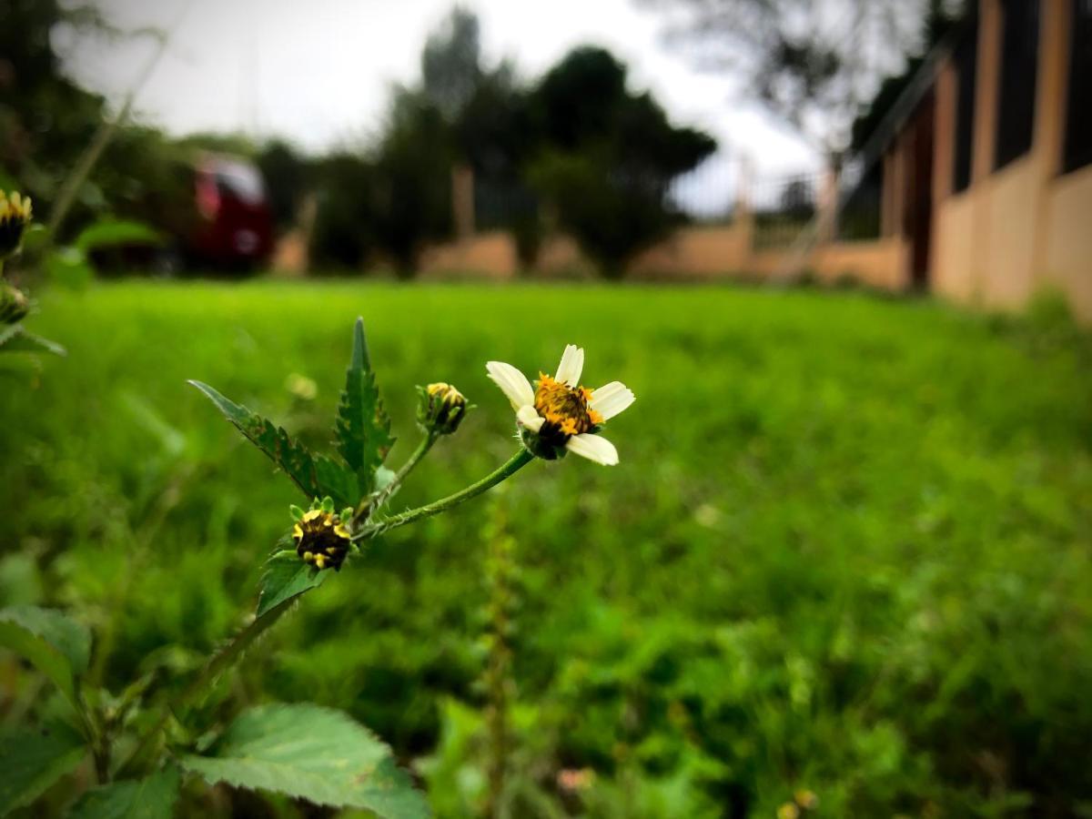 Clusia Lodge Copey ภายนอก รูปภาพ